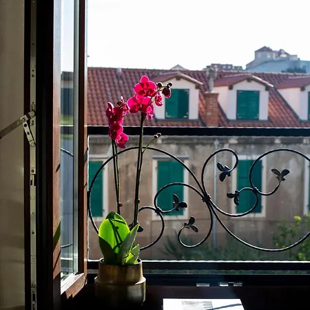 Pervicacia Lux * Dubrovnik