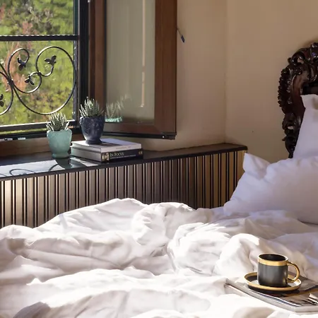 Pervicacia Lux Ντουμπρόβνικ