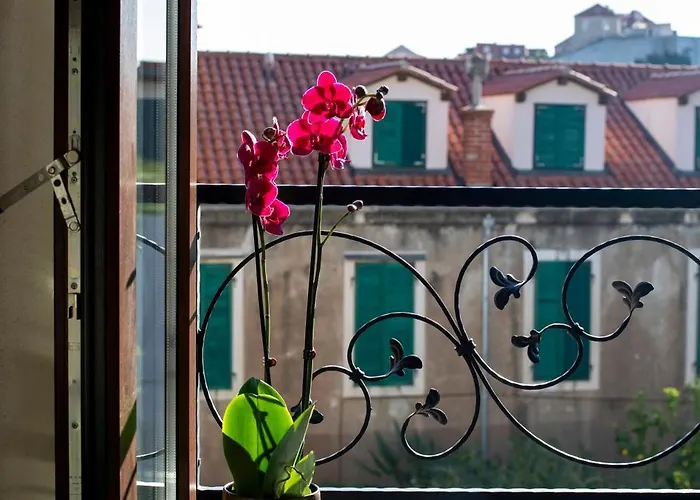 Pervicacia Lux * Dubrovnik