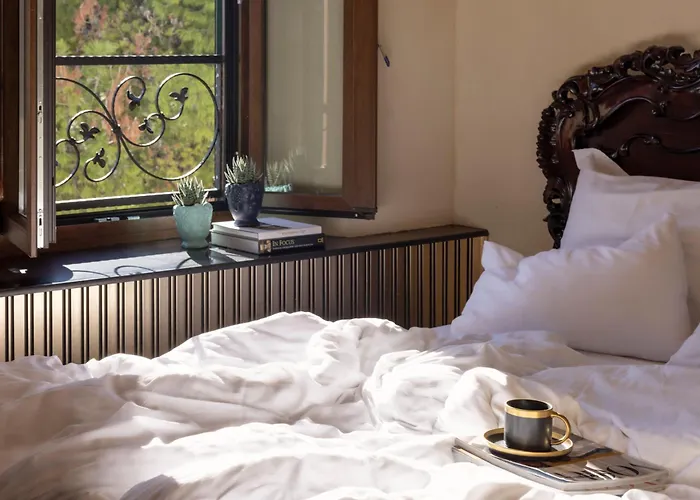 Pervicacia Lux Dubrovnik